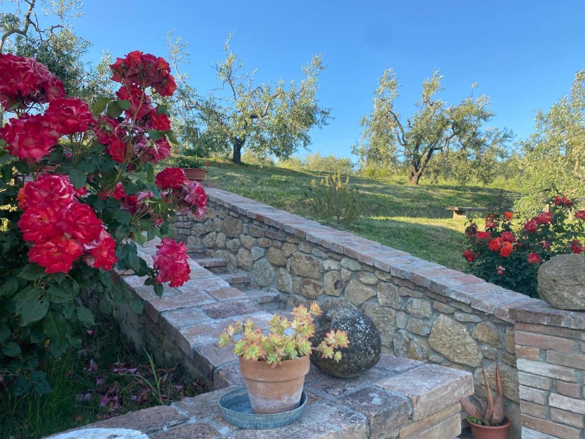 Agriturismo Casallario Volterra Bagian luar foto