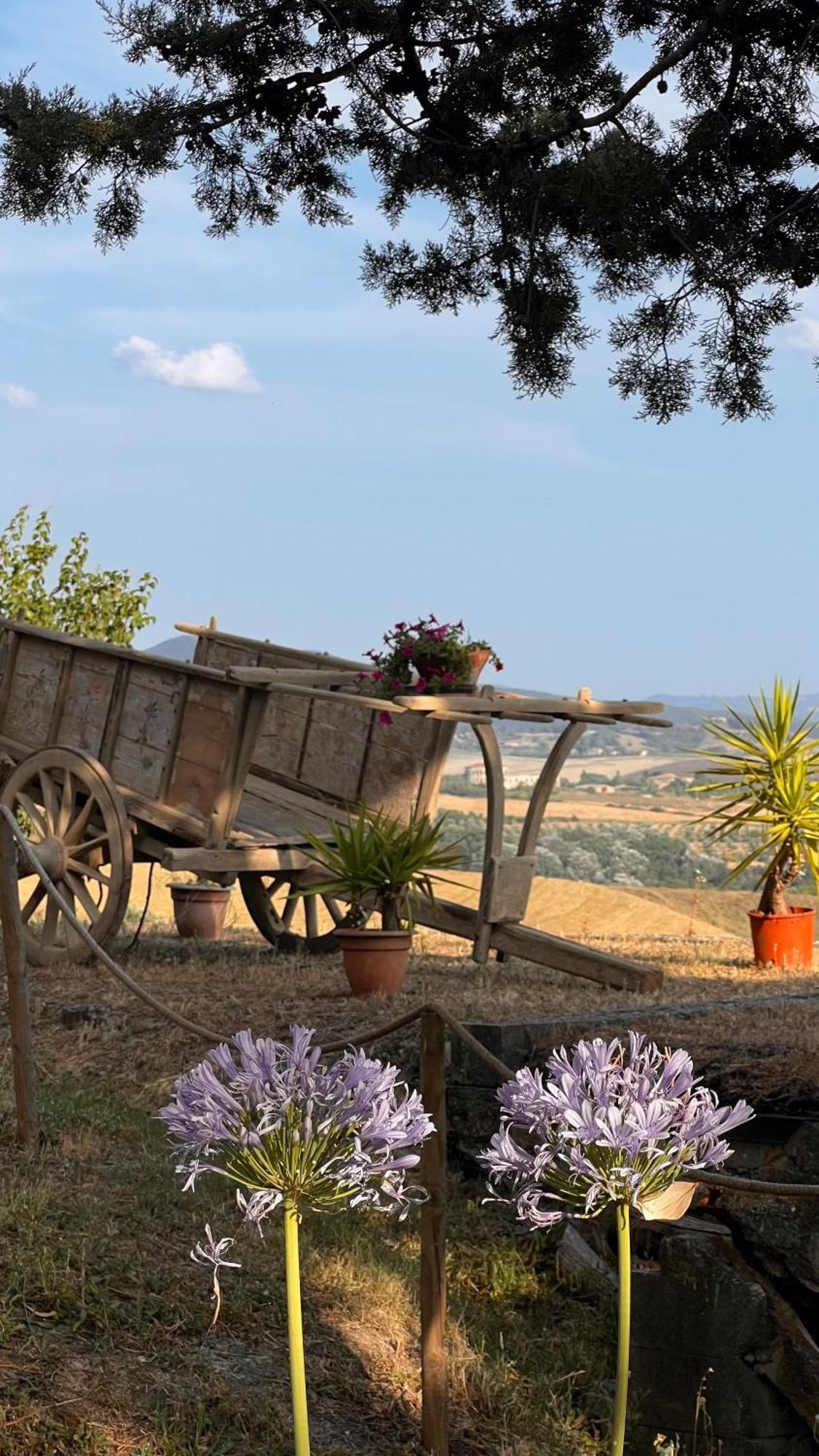Agriturismo Casallario Volterra Bagian luar foto