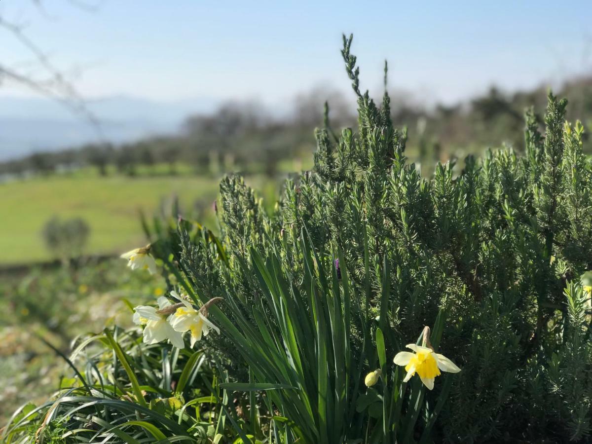 Agriturismo Casallario Volterra Bagian luar foto
